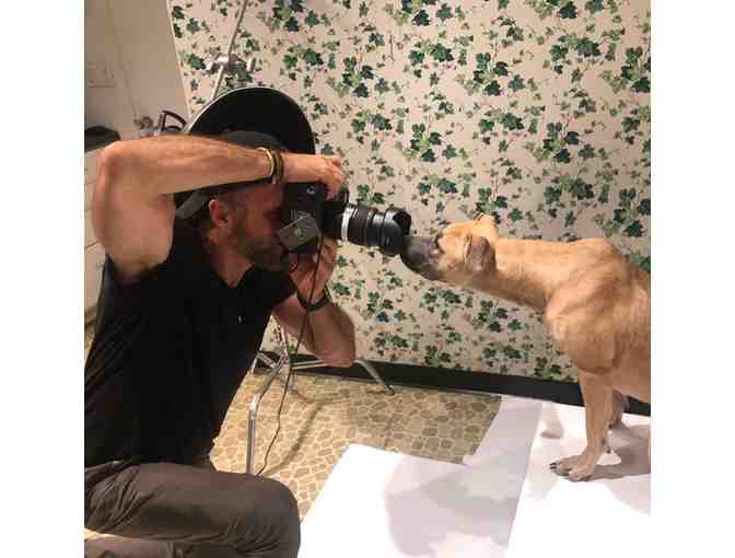 Portrait of your Pet by RICHARD PHIBBS - Fashion and Fine Art Photographer