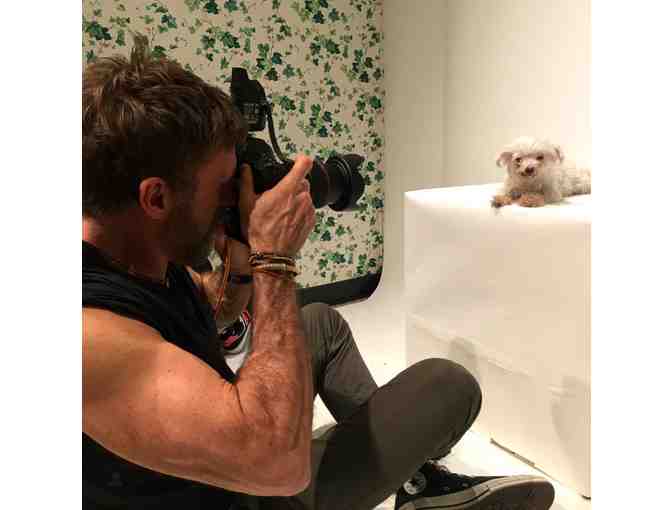 Portrait of your Pet by RICHARD PHIBBS - Fashion and Fine Art Photographer