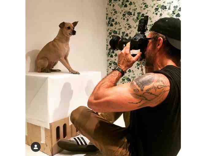 Portrait of your Pet by RICHARD PHIBBS - Fashion and Fine Art Photographer