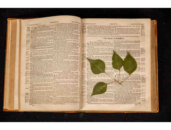 Beautiful 1852 Bible