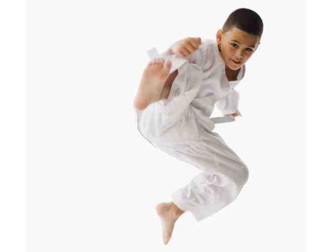 Kickboxing and Taekwondo 3-Month Junior Membership