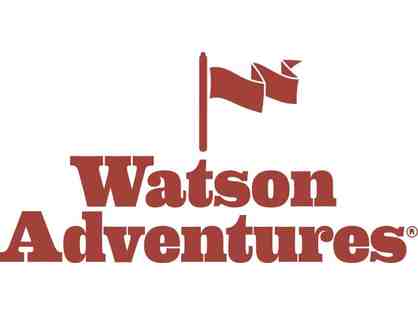 Watson Advanures Voucher for team entry to compete in a public game