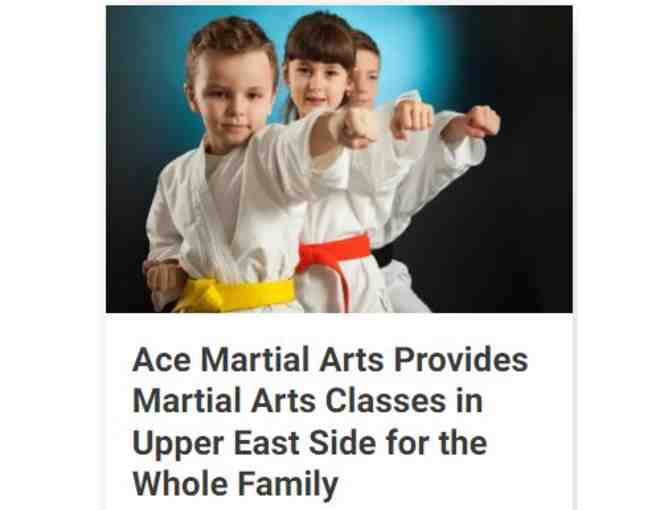 Ace Martial Arts- Taekwondo 2