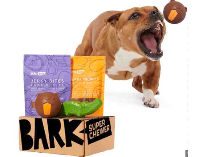 Barkbox (for dogs!) - Photo 3