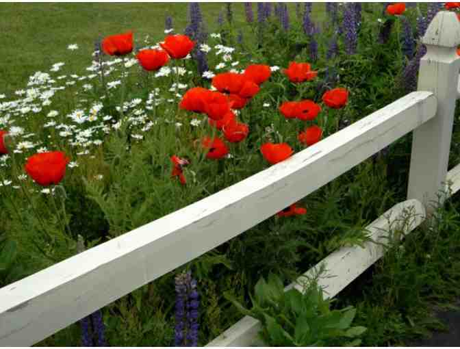 Albergo Allegria Bed & Breakfast