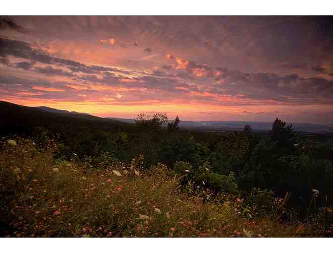 Francis Driscoll Photography