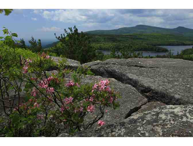 Francis Driscoll Photography