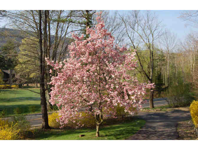 The Romantic Woodstock Stone Cottage