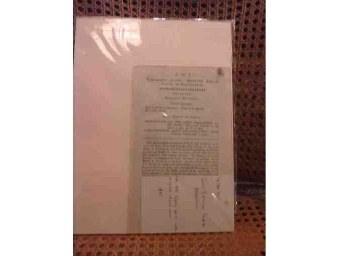 English Botanical prints, circa 1800