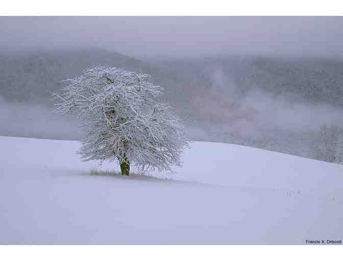 Francis Driscoll Photography-$75 Gift Certificate