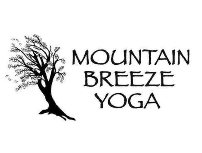 1 hr. 15 min. Private Yoga Session with Nicole Sansone Of Mountain Breeze Yoga!
