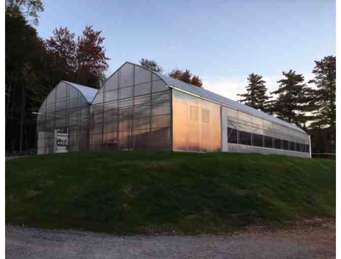 A Day at The Farm w/ Fromer Market Gardens