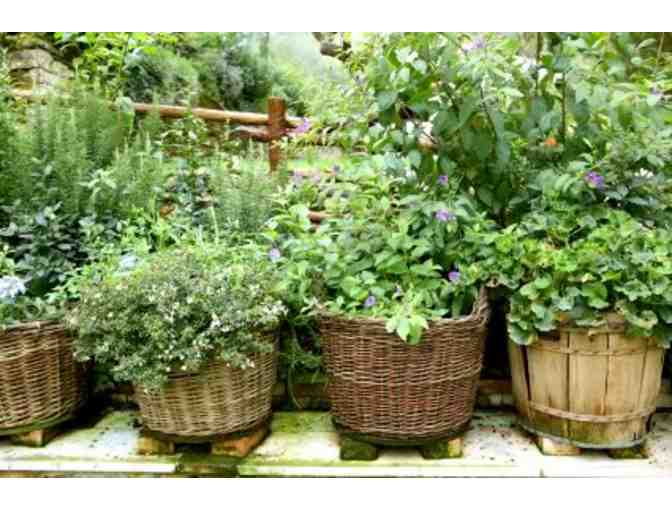 Two Fully Stocked Herb Planters Courtesy of Kerns Nursery