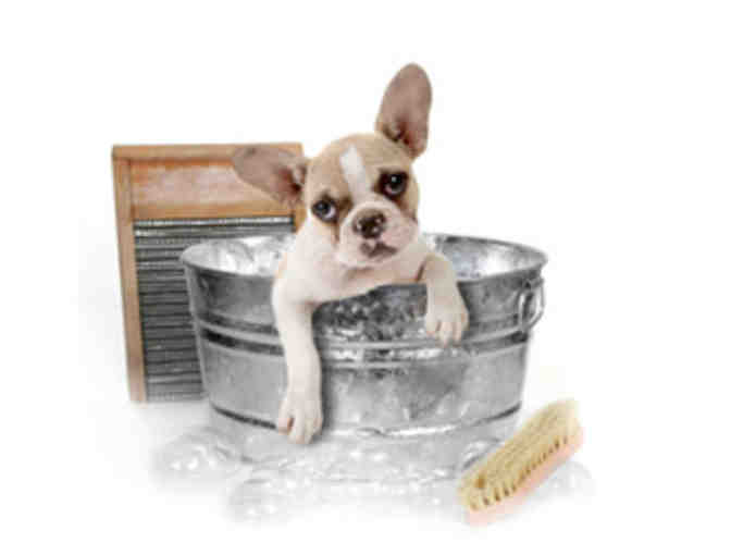 Vanity Fur Full Service Dog Groom