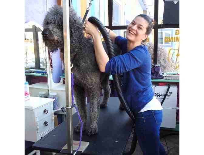 Vanity Fur Full Service Dog Groom