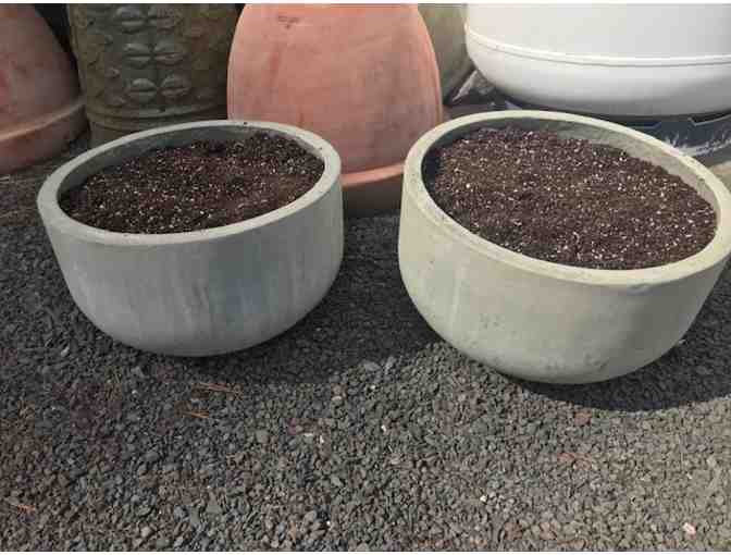 Two Fully Stocked Herb Planters Courtesy of Kerns Nursery