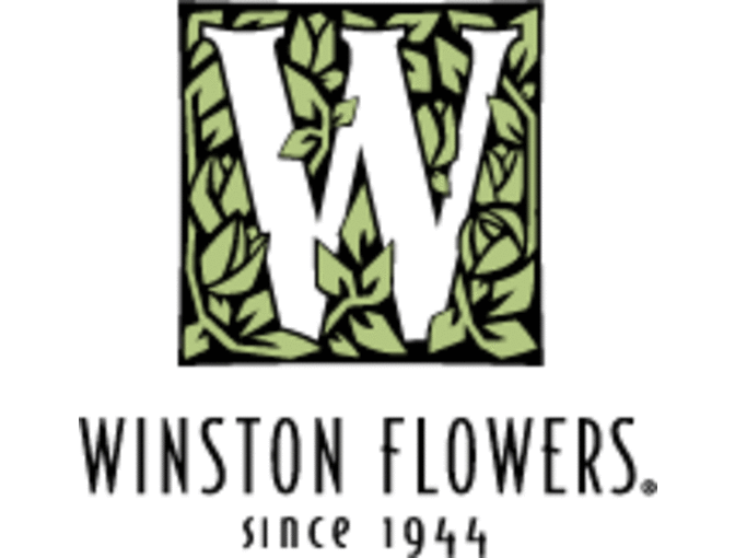 Six month Winston Flower collection