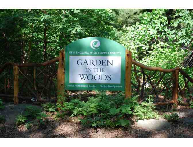 Four Passes to New England Wild Flower Society's Garden in the Woods