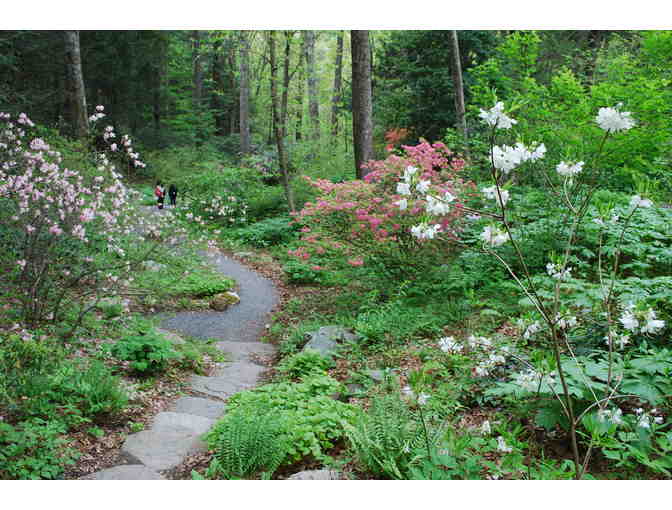 Four Passes to New England Wild Flower Society's Garden in the Woods