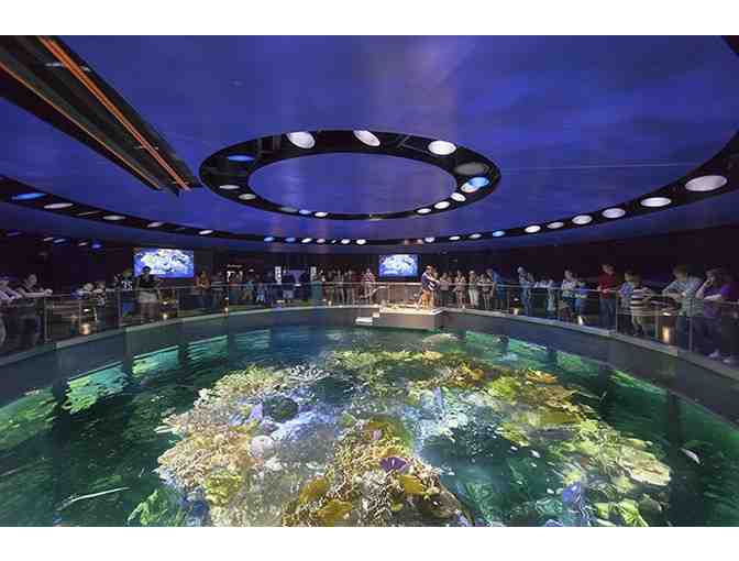 Four passes to the New England Aquarium