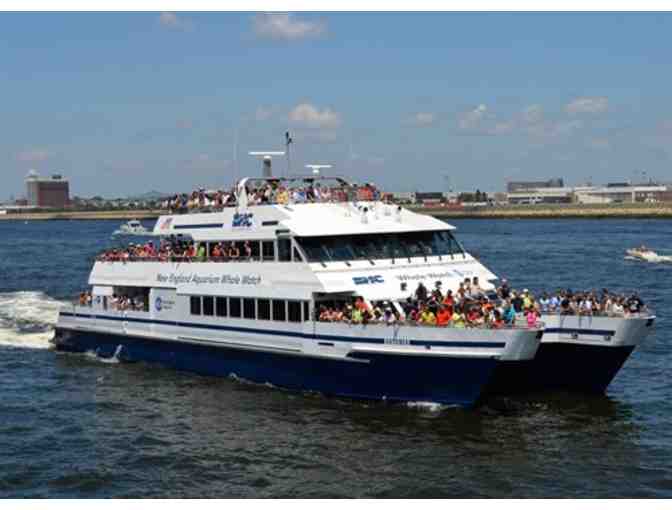 Admission for four to a whale watch by Boston Harbor Cruises