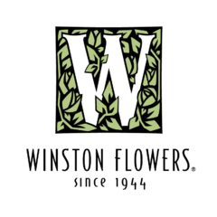 Winston Flowers