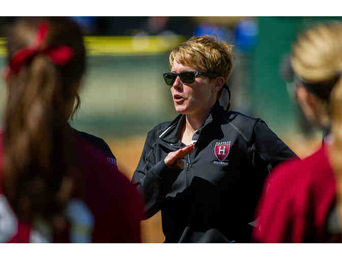 1-Hour Individual Softball Hitting Instruction