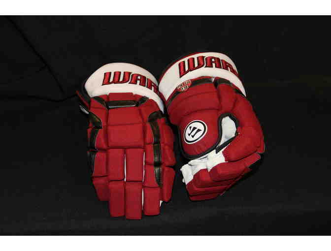 Harvard Hockey Warrior Hockey Gloves