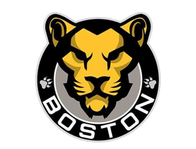 Boston Pride Hockey Experience