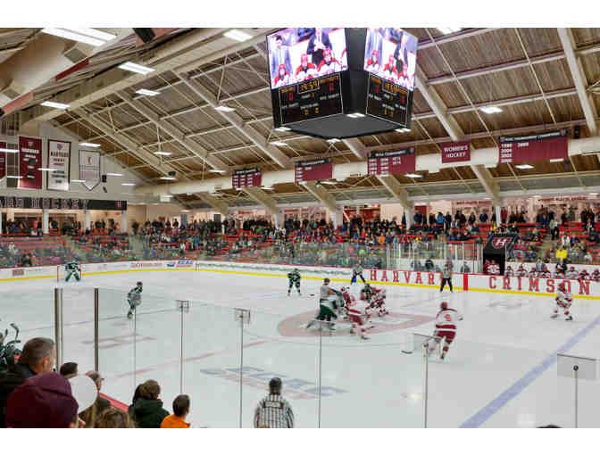 Harvard Men's Ice Hockey - 4 Tickets to ANY home game