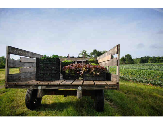 Farm to Table Dinner for 4 - 'Outstanding in the Field'