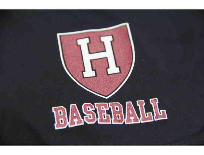 Harvard Baseball Nike Shorts - Photo 2