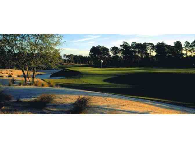 Golf and Lunch for three at The McArthur Club, Hobe Sound, Florida