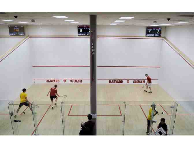 Two Private Squash Playing Lessons with Harvard Associate Head Coach Hameed Ahmed