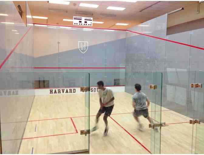 One Private Squash Lesson -- including a new racquet, goggles and ball! - Photo 6