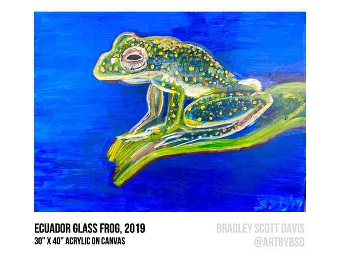 Ecuador Glass Frog Painting - Photo 1