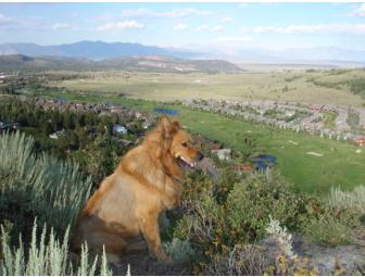 California Dreaming! 4-night, 5-day stay in Mammoth Mountain