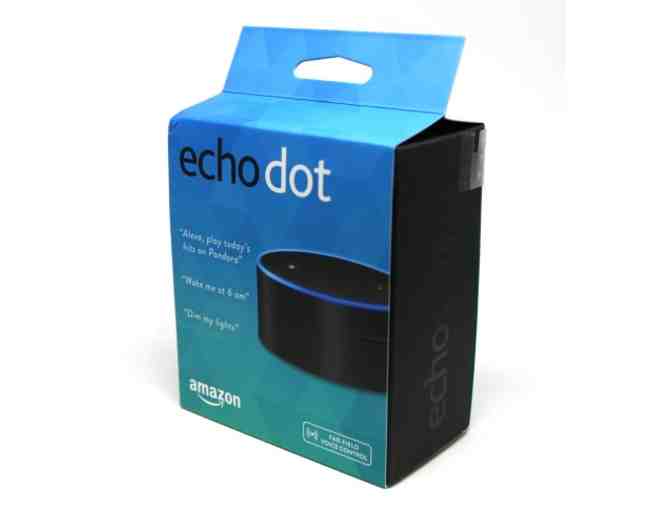 Echo Dot & Amazon Fire Stick