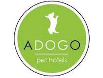 Adogo Pet Hotel - One Night Stay