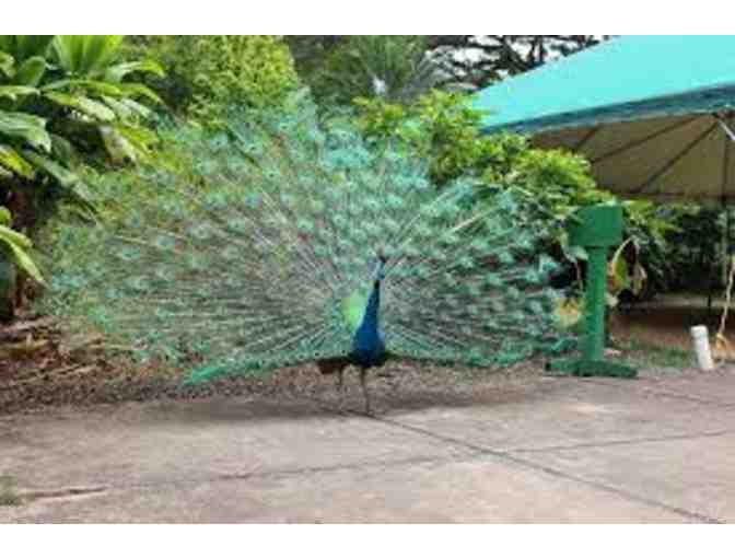 Waimea Valley Annual Family Pass