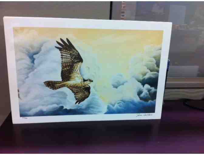 Stunning Eagle Print