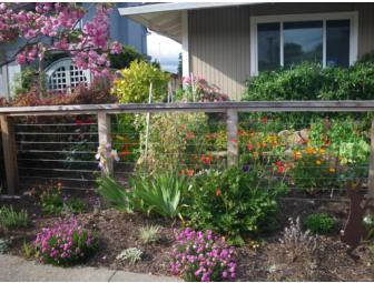 Creative Service: Let the Edible Gardener Landscape Your Home