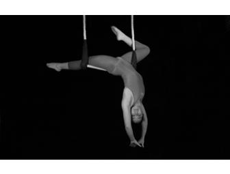 Unique Experience: Learn the Flying Trapeze