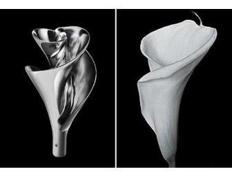 *Artistic Vision: Own the Priceless Lily Impeller by Jay Harman
