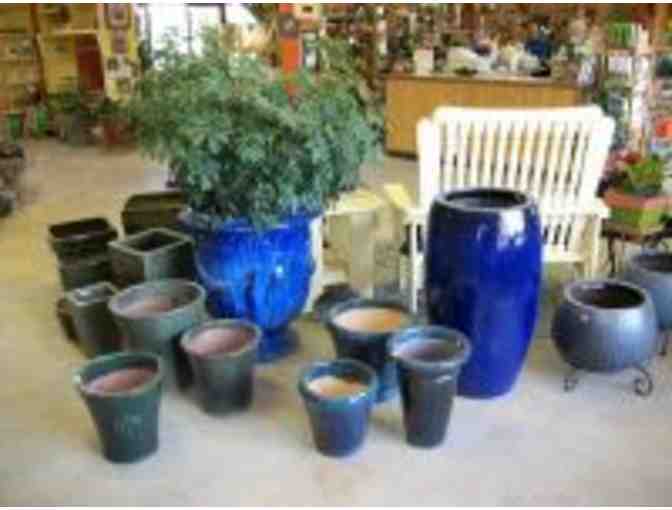 Morgreen Nursery& Landscape - $200 Gift Certificate