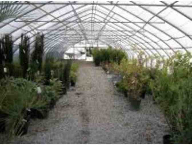 Morgreen Nursery& Landscape - $200 Gift Certificate