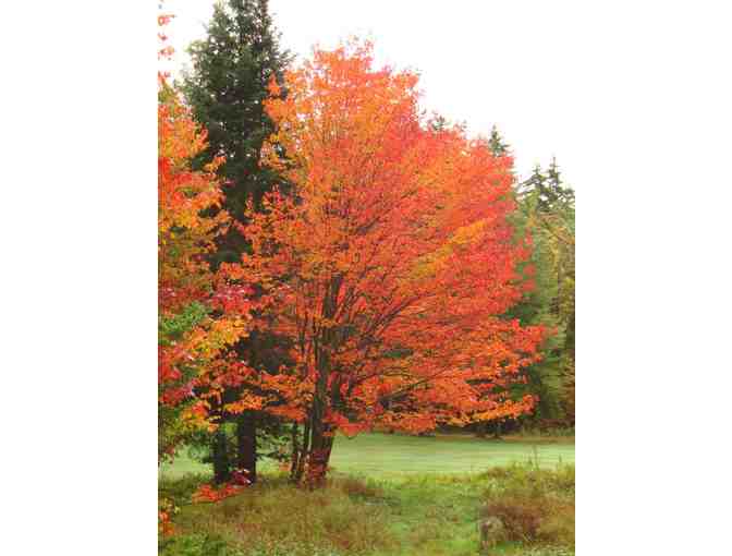 Hamilton Lake - Four Night Stay for 20 Guests