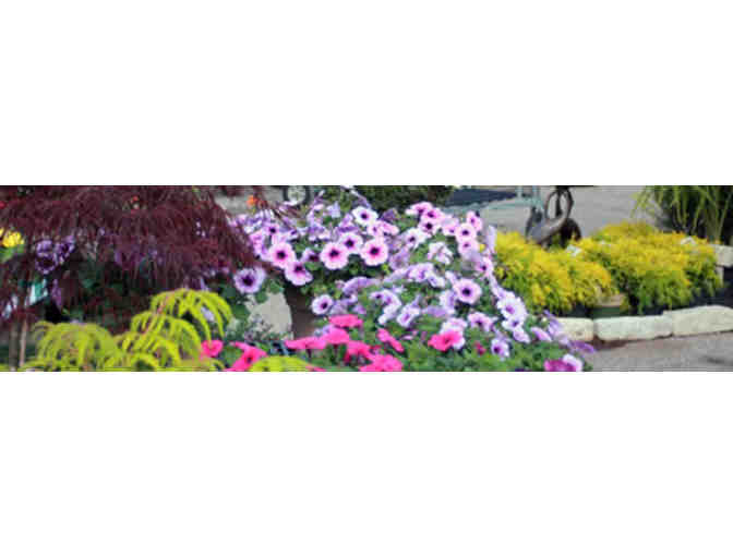 Stringer's Poplar Pointe Garden Center - $50 Gift Card and a Bashful Girl Statue