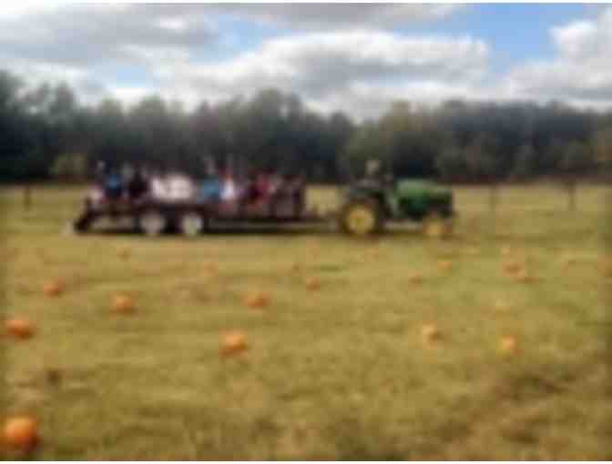 Menagerie Farm - $50 Gift Certificate