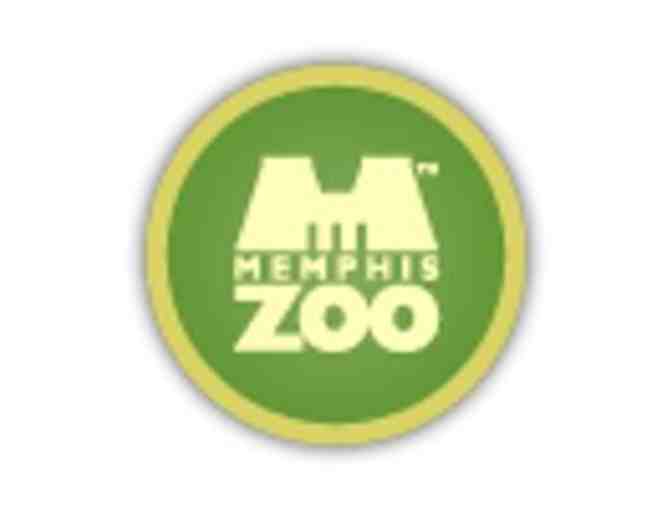 Giraffe Feeding Experience at The Memphis Zoo